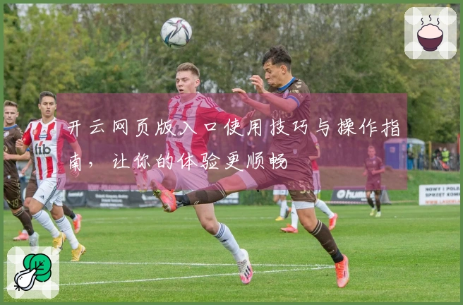 开云网页版入口使用技巧与操作指南，让你的体验更顺畅